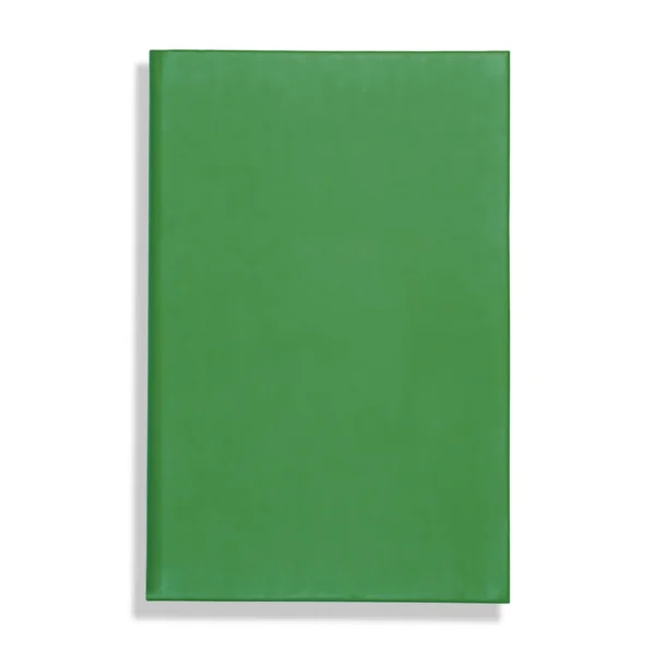 Apple Peel Eco, vegan / peel A5 Notebook, Feint Ruled, Green