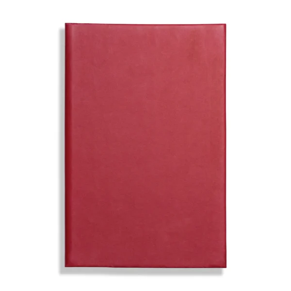 Apple Peel Eco, vegan / peel A5 Notebook, Feint Ruled, Red